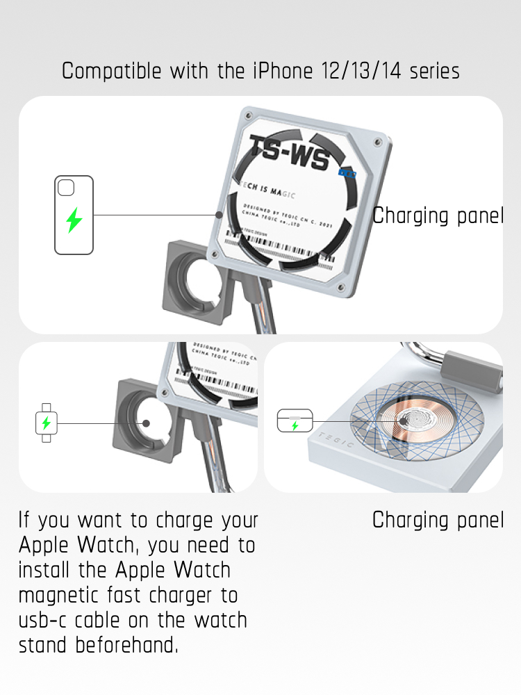 TS-WS magsafe charger/holder